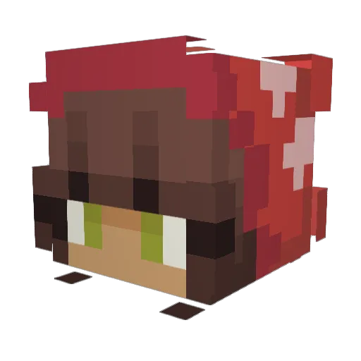 JupiIsAway Minecraft avatar head, 3D render