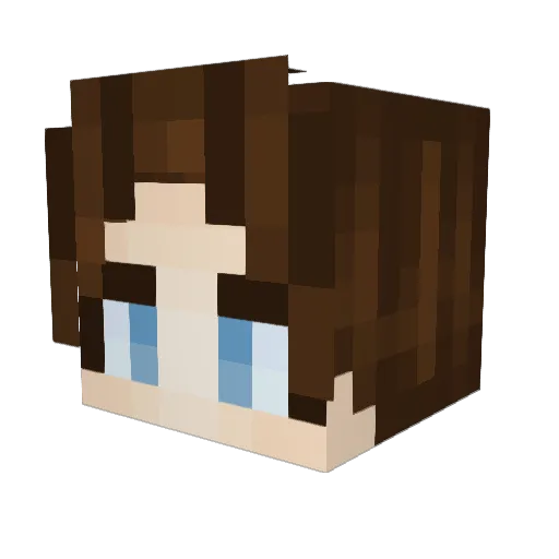 Jupitaa Minecraft avatar head, 3D render