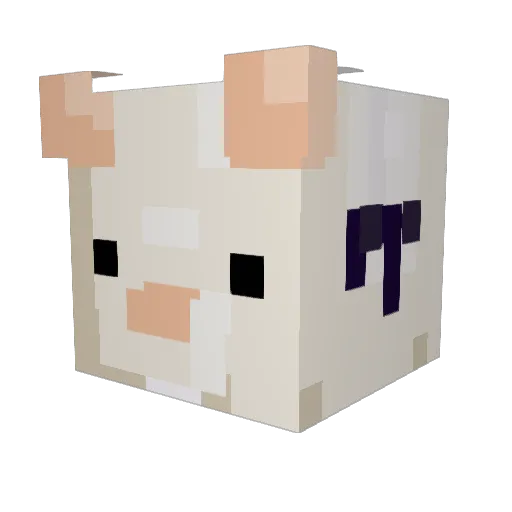 JupiteXX Minecraft avatar head, 3D render