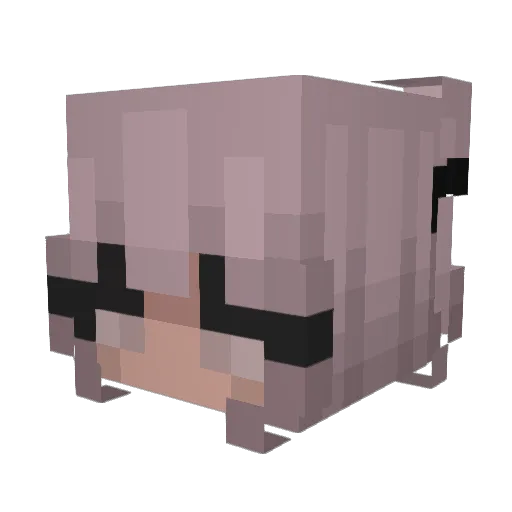 Jupiter213 Minecraft avatar head, 3D render