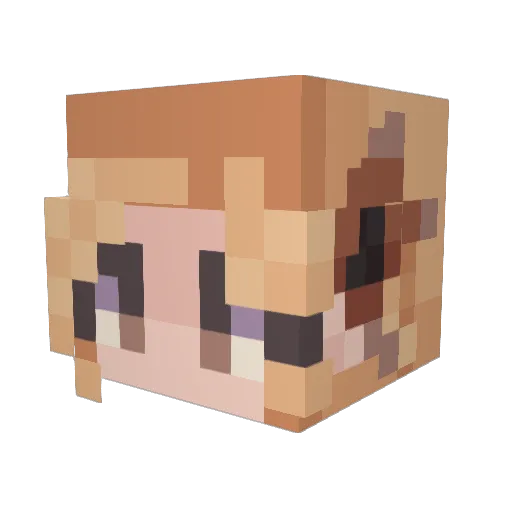 Jupiter2434 Minecraft avatar head, 3D render