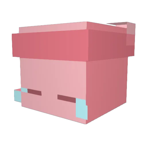 Jupiter81 Minecraft avatar head, 3D render