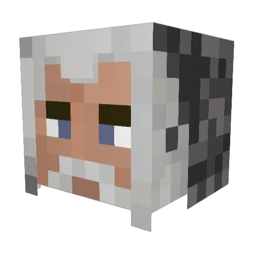 Jupiter_98 Minecraft avatar head, 3D render