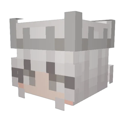 JupitersStarz Minecraft avatar head, 3D render