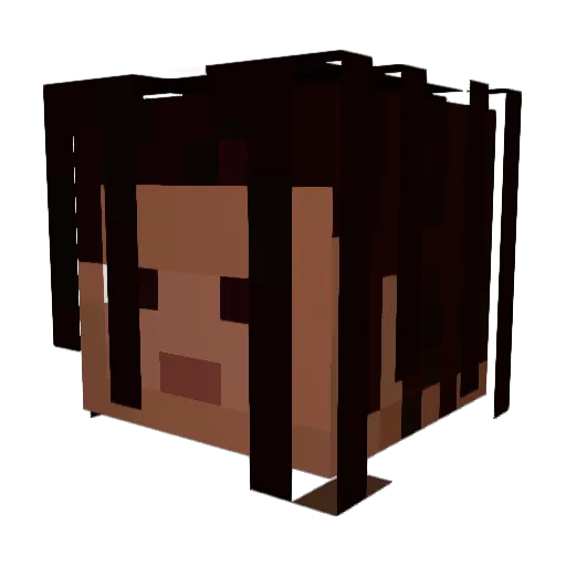 Jupitersohn Minecraft avatar head, 3D render
