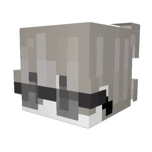 Jupither Minecraft avatar head, 3D render