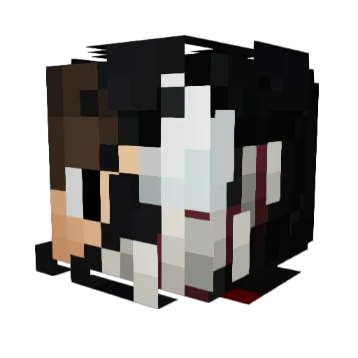 Juppy11 Minecraft avatar head, 3D render