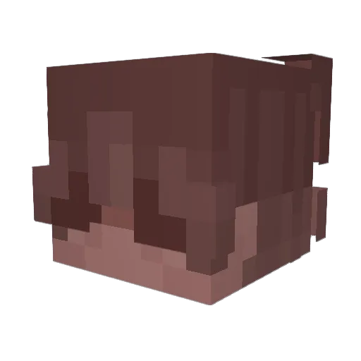 Juqnn Minecraft avatar head, 3D render