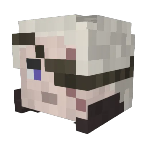 JurassicGamer Minecraft avatar head, 3D render
