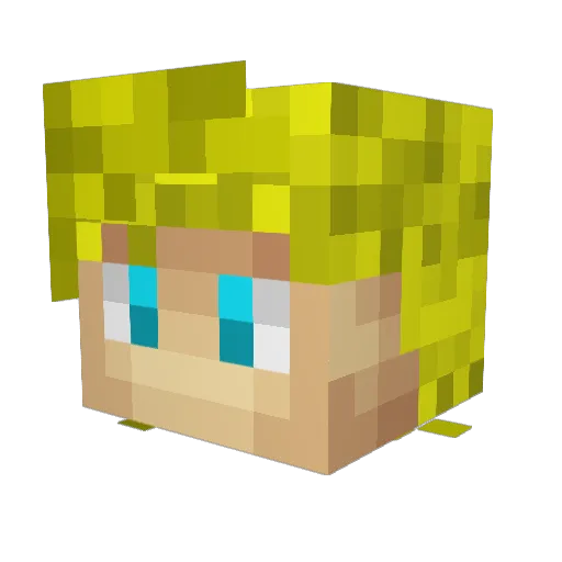 Jurgenpanda Minecraft avatar head, 3D render