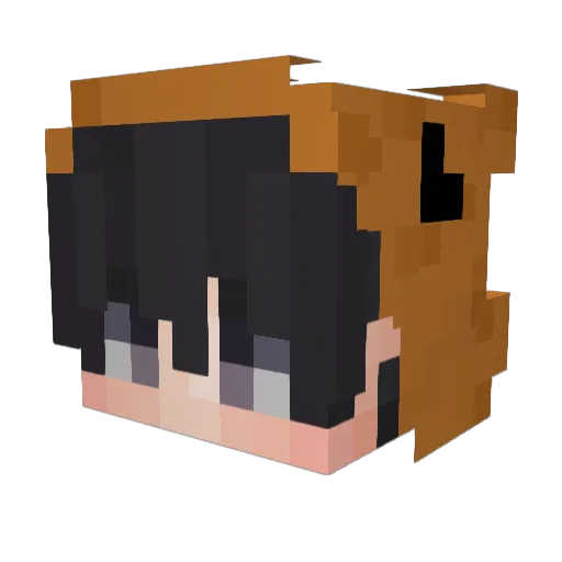 Minecraft-Avatar von JurrassicNugget: Kopf als 3D-Render