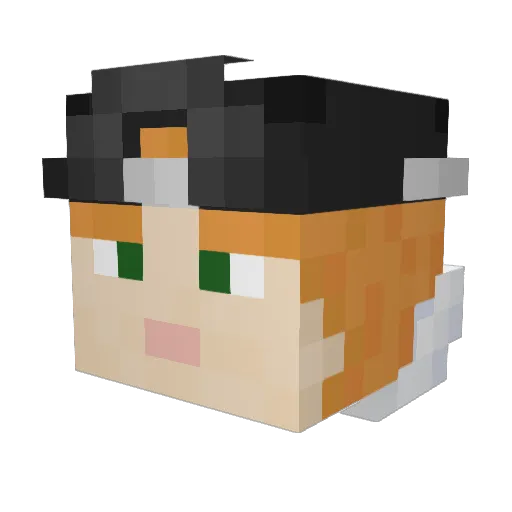 Jurseey Minecraft avatar head, 3D render