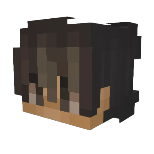 Jury150 Minecraft avatar head, 3D render