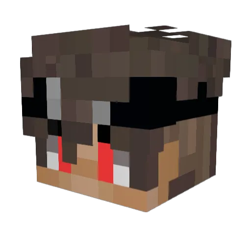 Jus2Piments Minecraft avatar head, 3D render
