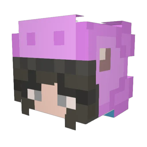 JusJusXD Minecraft avatar head, 3D render