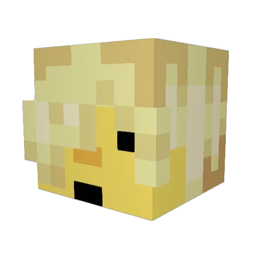 Jush77679 Minecraft avatar head, 3D render