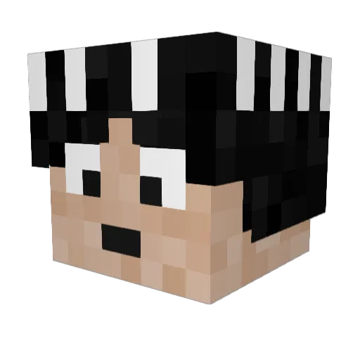 Jush_is_dumb03 Minecraft avatar head, 3D render