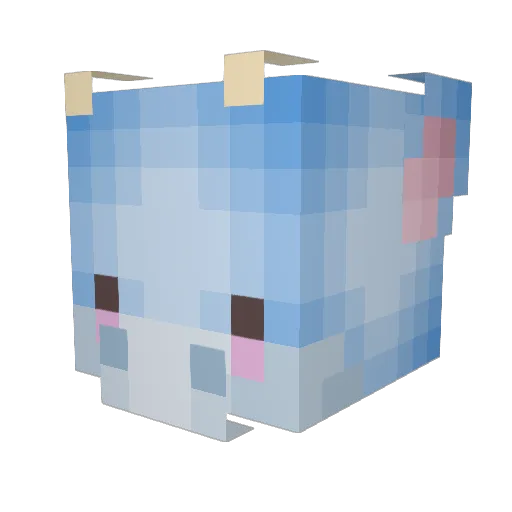 Jushara Minecraft avatar head, 3D render