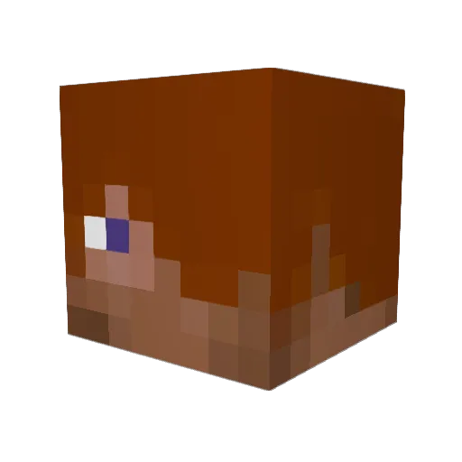 Jusida Minecraft avatar head, 3D render