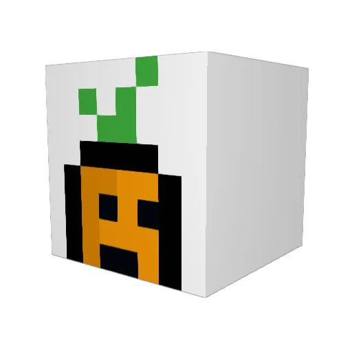 JustACarrrot Minecraft avatar head, 3D render