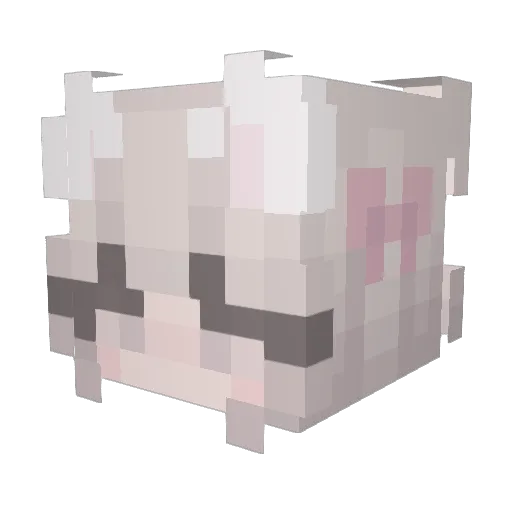 JustACuteCat Minecraft avatar head, 3D render