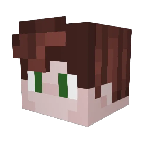 JustAGaySimp Minecraft avatar head, 3D render