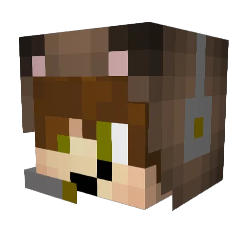 JustAHappyBaer Minecraft avatar head, 3D render