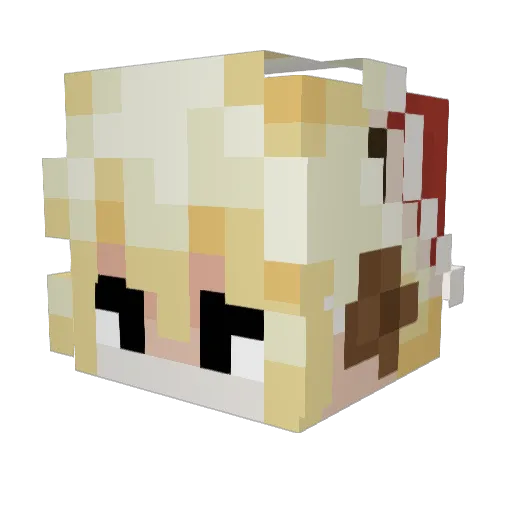 JustARandomDucky Minecraft avatar head, 3D render