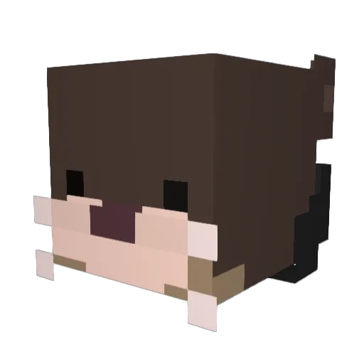 JustAlittleOtter Minecraft avatar head, 3D render