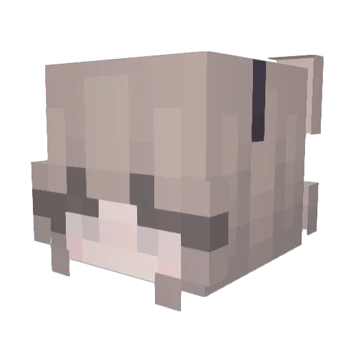 JustAnAmy_ Minecraft avatar head, 3D render