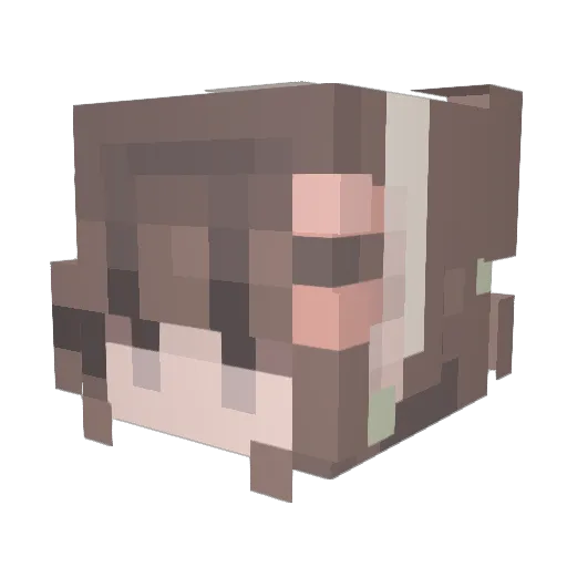JustAna13 Minecraft avatar head, 3D render