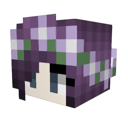 JustAnotherFace Minecraft avatar head, 3D render