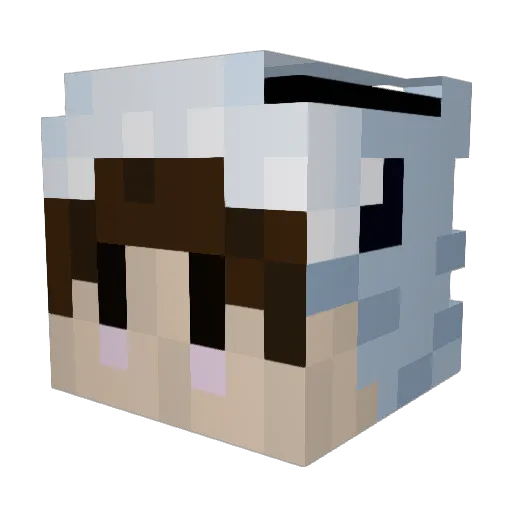 JustBenn1 Minecraft avatar head, 3D render