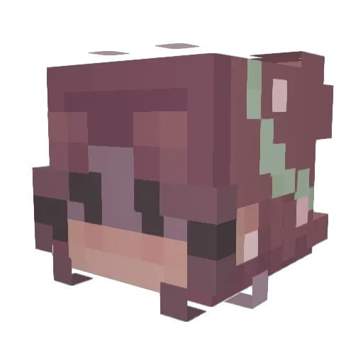 JustBria Minecraft avatar head, 3D render