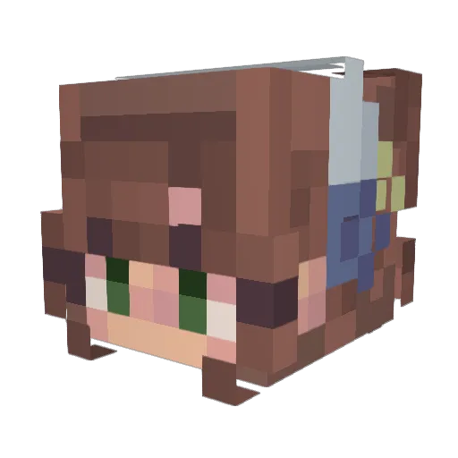 JustCallMeBees Minecraft avatar head, 3D render