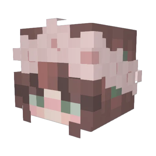 JustCallMeZooid Minecraft avatar head, 3D render