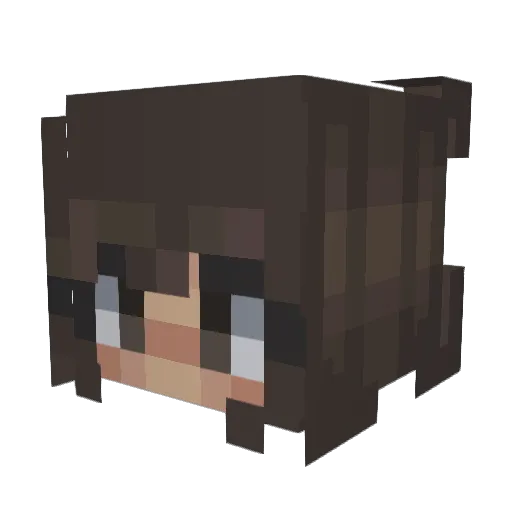 JustDum14 Minecraft avatar head, 3D render