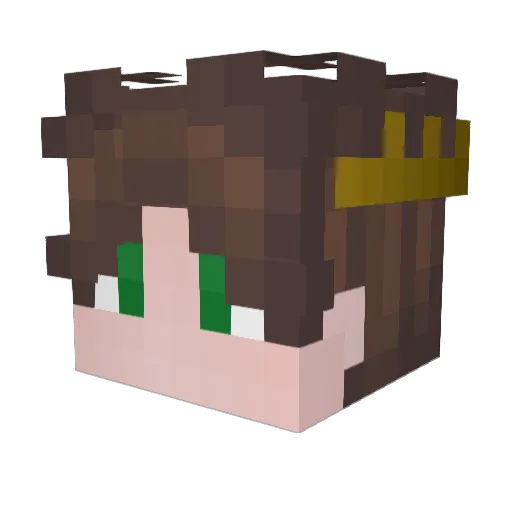 JustEthan15 Minecraft avatar head, 3D render