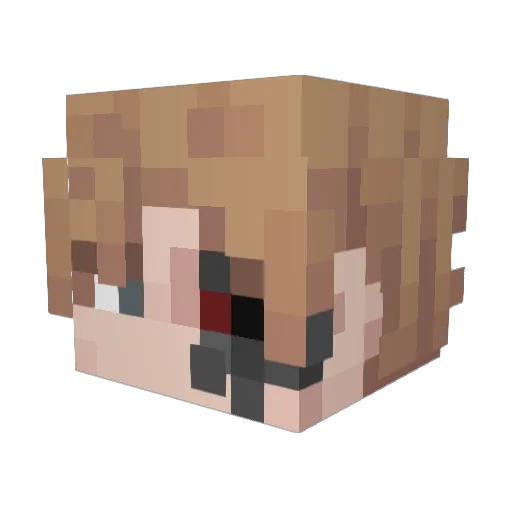 JustGofer_ Minecraft avatar head, 3D render