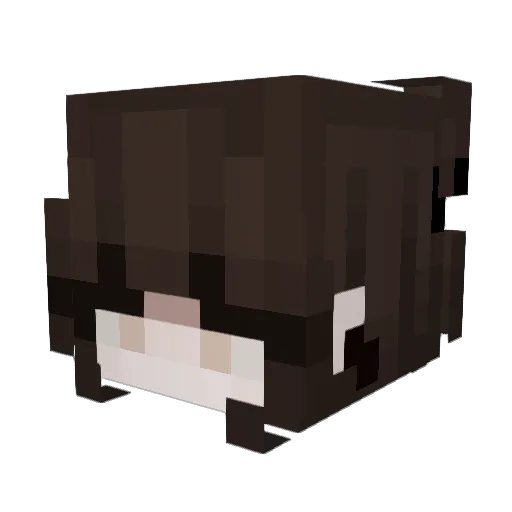 JustILoveU Minecraft avatar head, 3D render