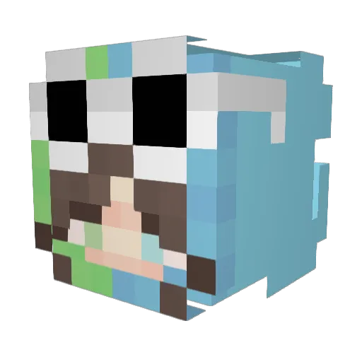 JustJayden1 Minecraft avatar head, 3D render