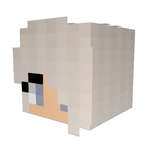JustKate1234 Minecraft avatar head, 3D render