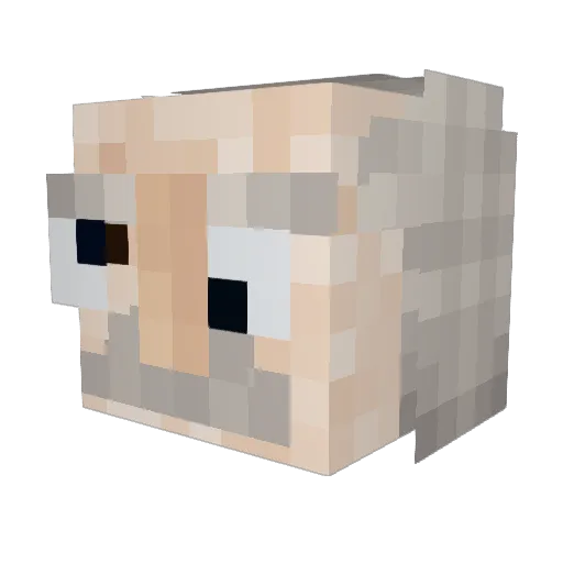 JustKidingYo Minecraft avatar head, 3D render