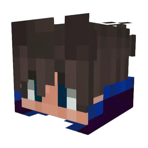 JustME421 Minecraft avatar head, 3D render