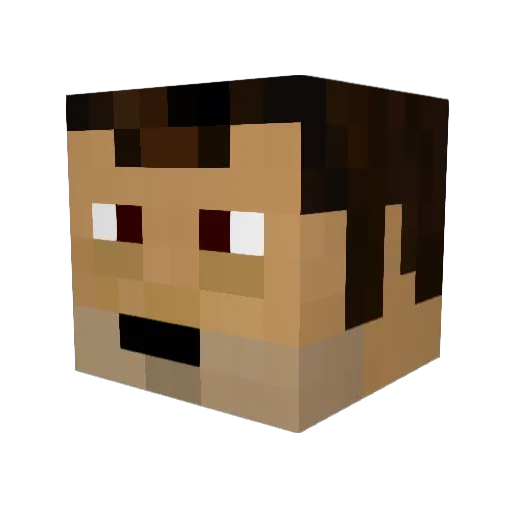 JustMe89 Minecraft avatar head, 3D render