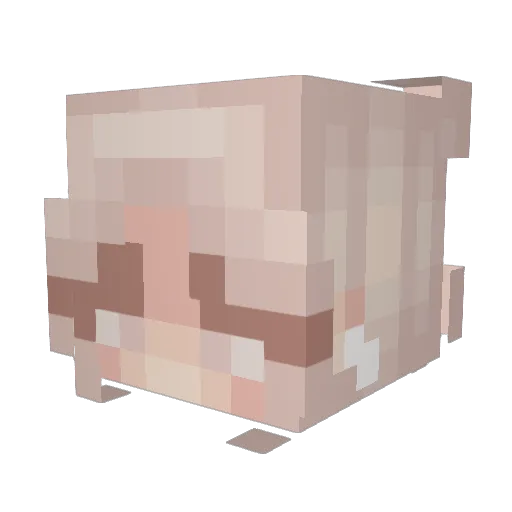 JustMeBritany Minecraft avatar head, 3D render