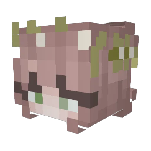 JustMeRoxy Minecraft avatar head, 3D render