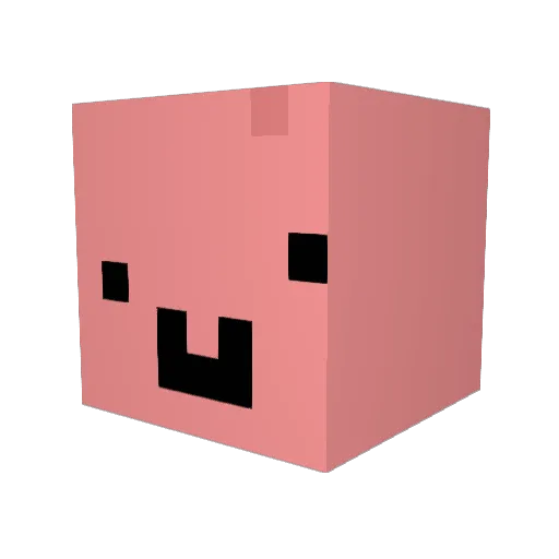 JustMelon4004 Minecraft avatar head, 3D render