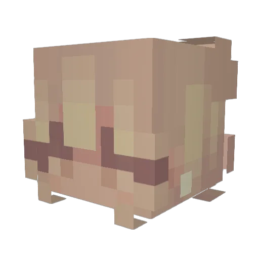 JustNikki1910 Minecraft avatar head, 3D render