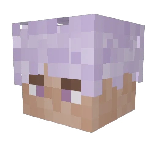 JustNubb Minecraft avatar head, 3D render